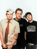 blink 182 confirm at soundwave 2013