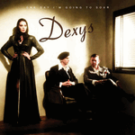 dexys midnight runner new track online