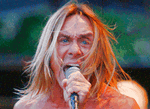 iggy pop quit stagediving