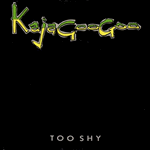 kajagoogoo - too shy