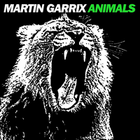 martin garrix - animals